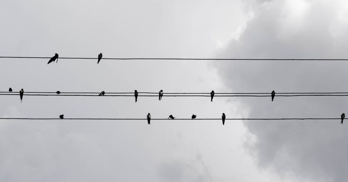 Twitter Clone AI Prompt