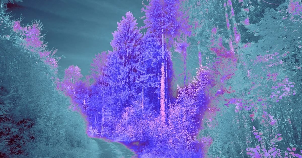 AI Image Generation Prompt for Creating Realistic Landscapes