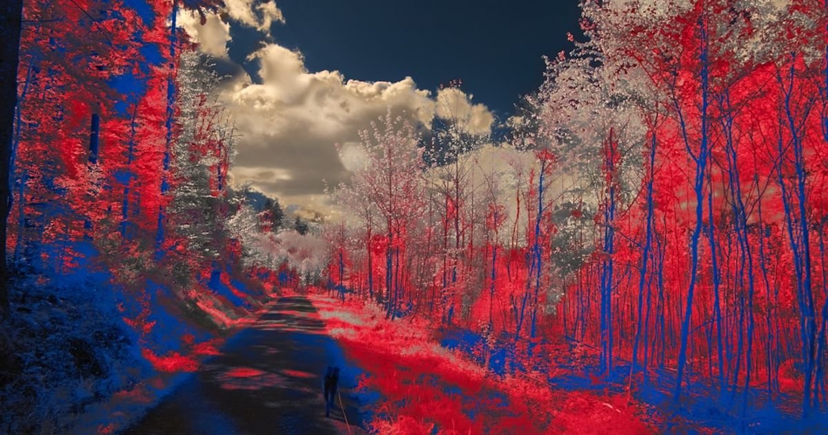 AI Prompt for Generating 360-Degree Panoramic Images from Single Photo