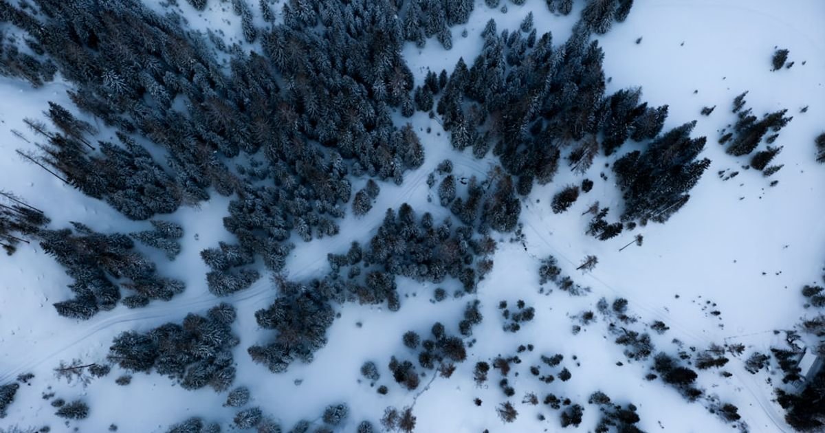 AI Prompt for Generating Animated GIFs from Short Video Clips