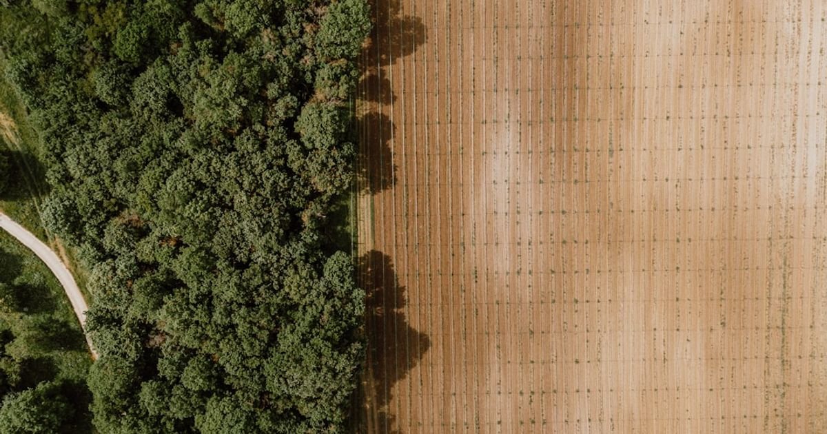 AI Prompt for Generating Personalized Farming Advice for Farmers