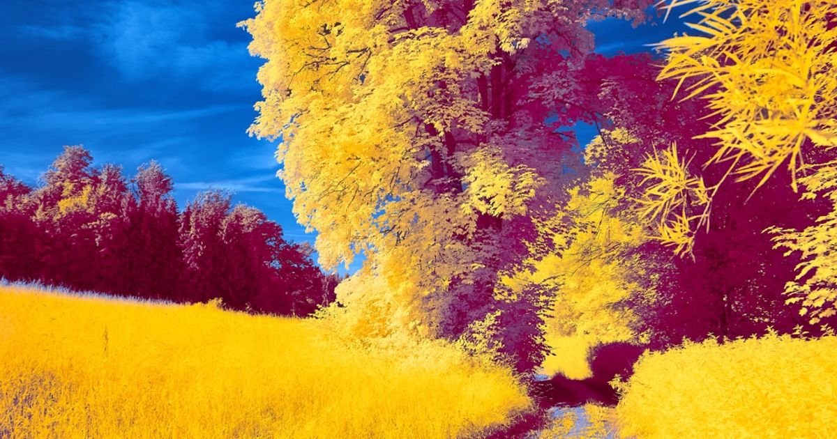 AI Prompt for Generating Photo-Realistic Landscapes from Text Prompts
