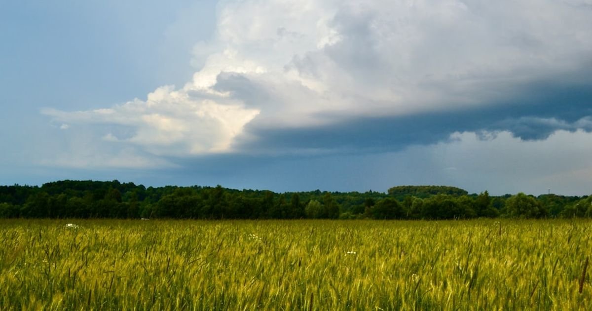AI Prompt for Predicting Crop Yield Based on Weather and Soil Data