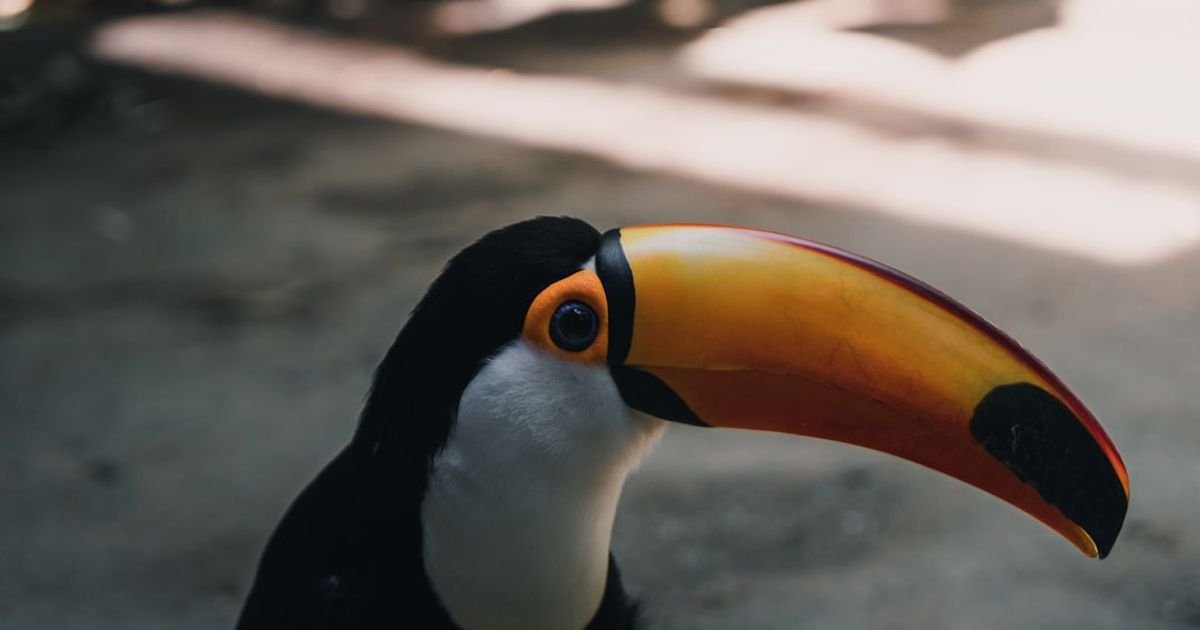 Enhance facial features and background using Nano Banana AI prompt