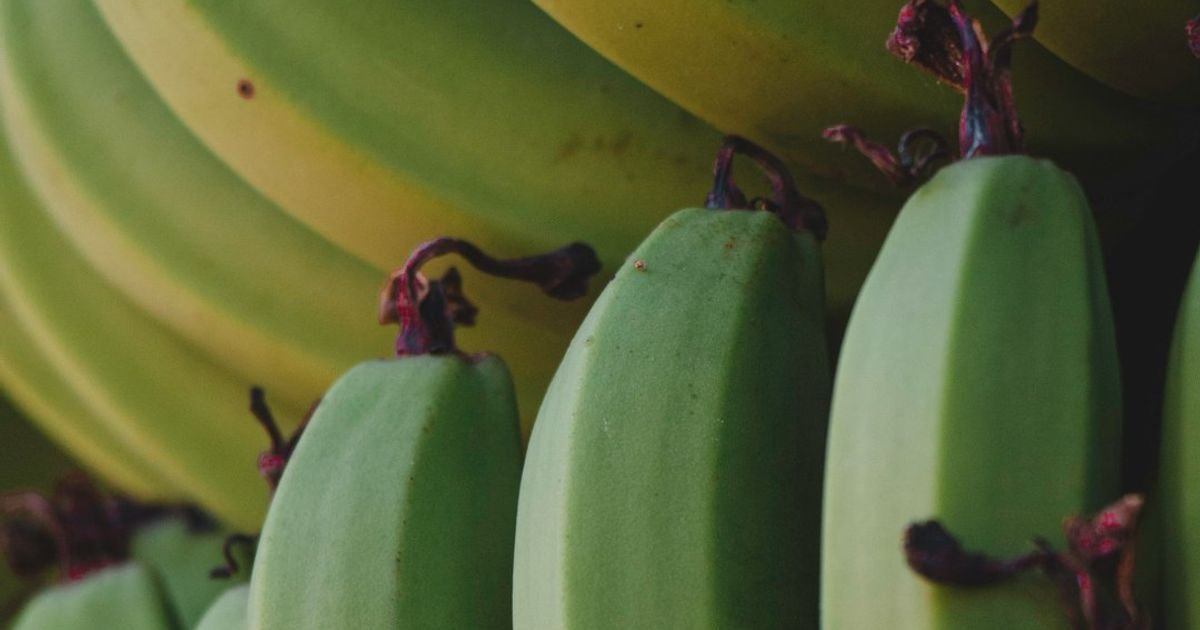 Use Nano Banana AI prompt to visualize different fashion styles on your photo