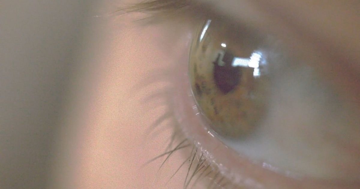 Veo Prompt for Eye-Catching Facebook Ad Creatives