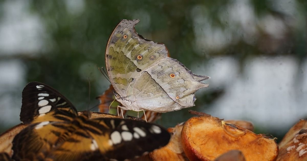 AI Prompt for Creating Origami Animal Stories