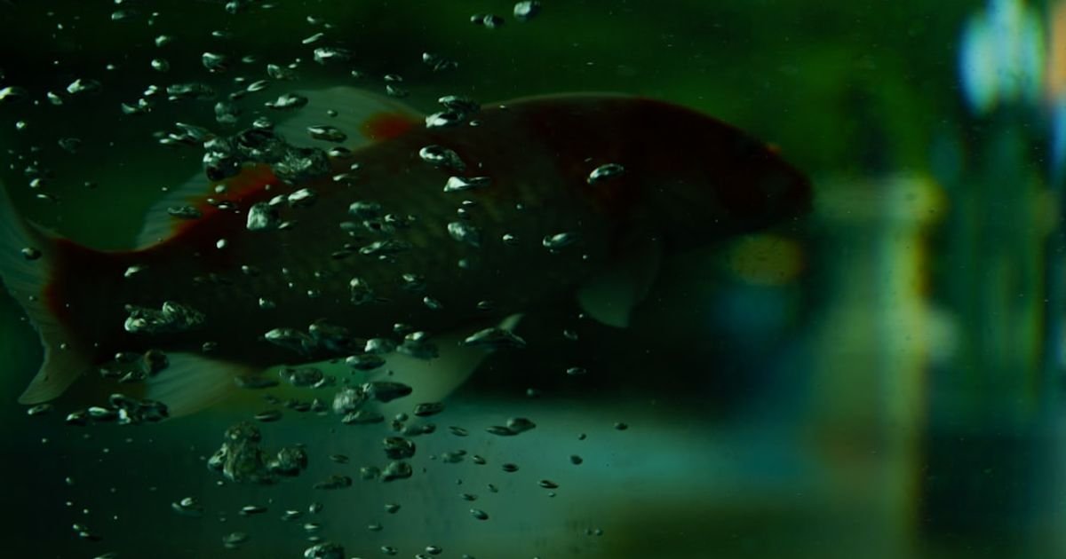Blood Splatter Realistic VFX Prompt