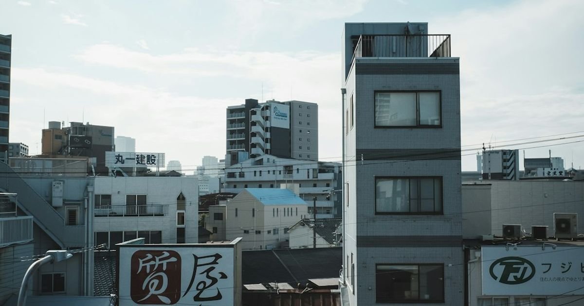 Cat Ninja in Tokyo Rooftops VFX Prompt