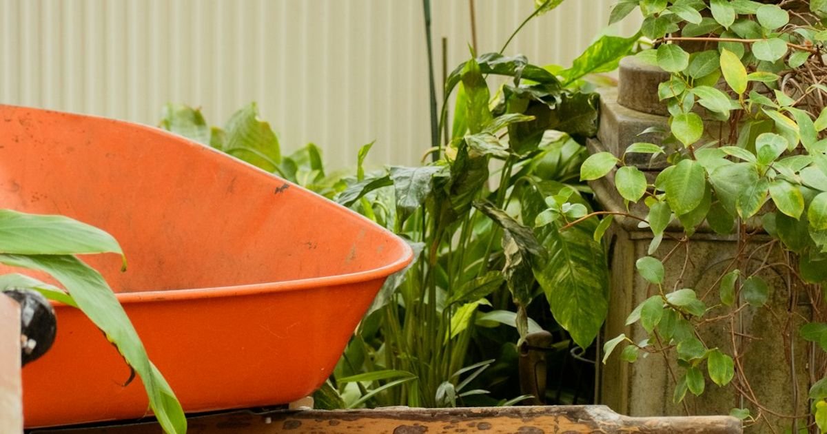 ChatGPT Prompt for Gardening in Small Spaces