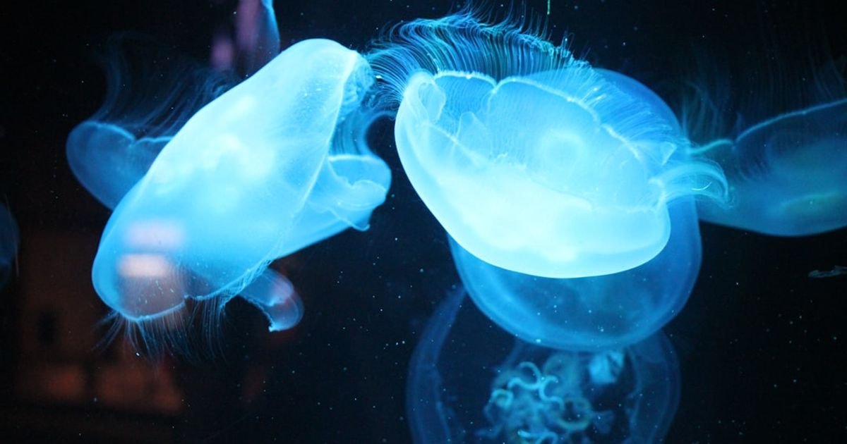Crystal Slime Monster with Glowing Eyes VFX Prompt