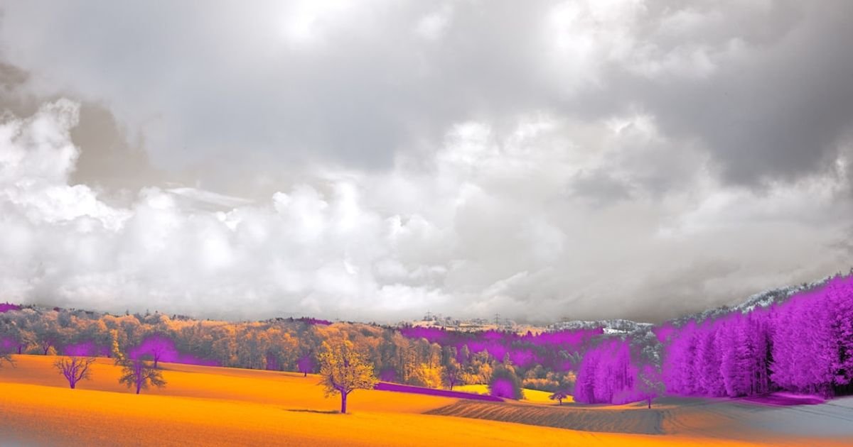 Ecosystem Bloom Simulation VFX Prompt