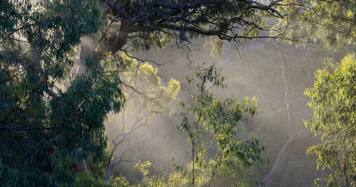 Fairy Dust Trail VFX Prompt