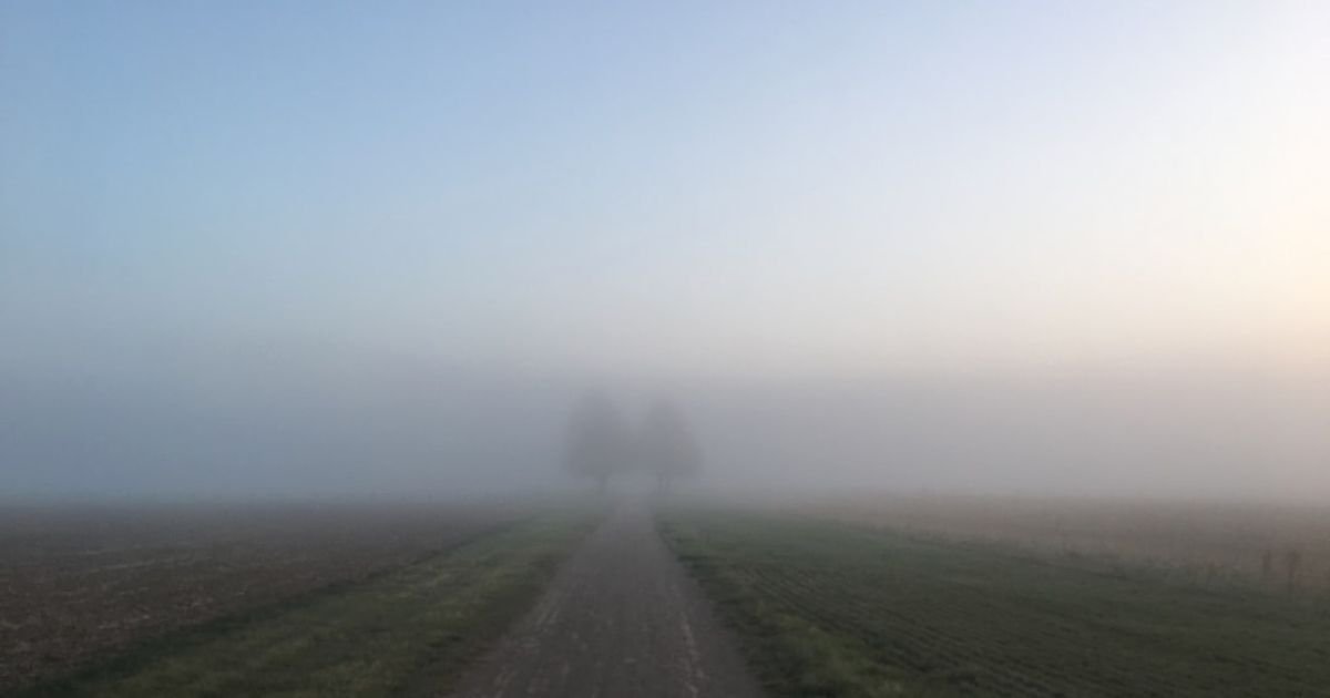 Fog Rolling Through Trenches VFX Prompt