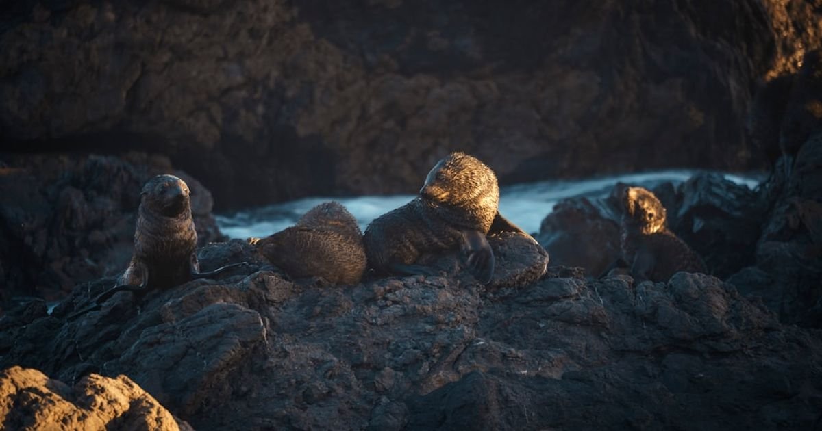 Gooey Blob Splitting into Multiple Creatures VFX Prompt