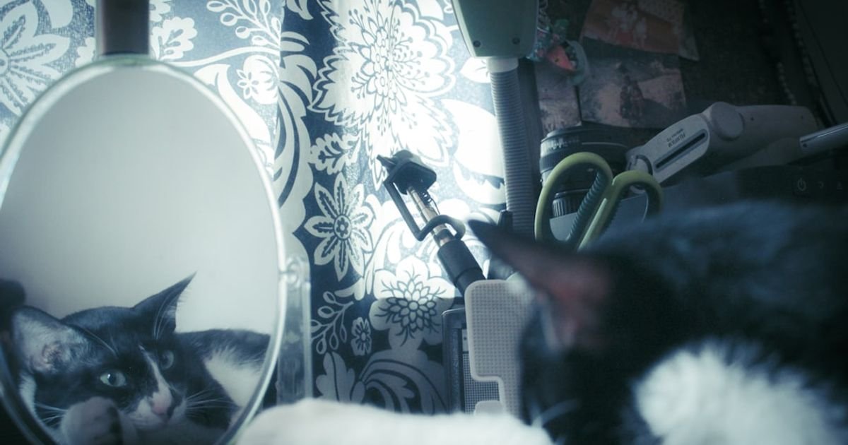 Haunted Mirror Reflection VFX Prompt