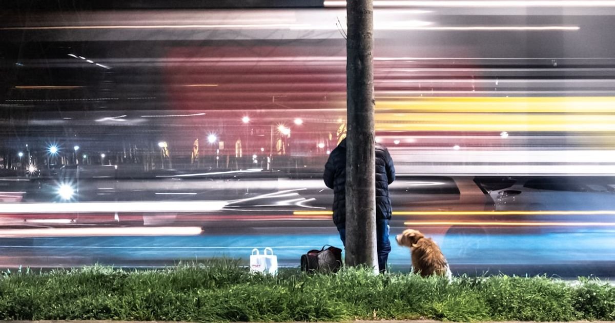Hero Dog in Post-Apocalyptic City VFX Prompt