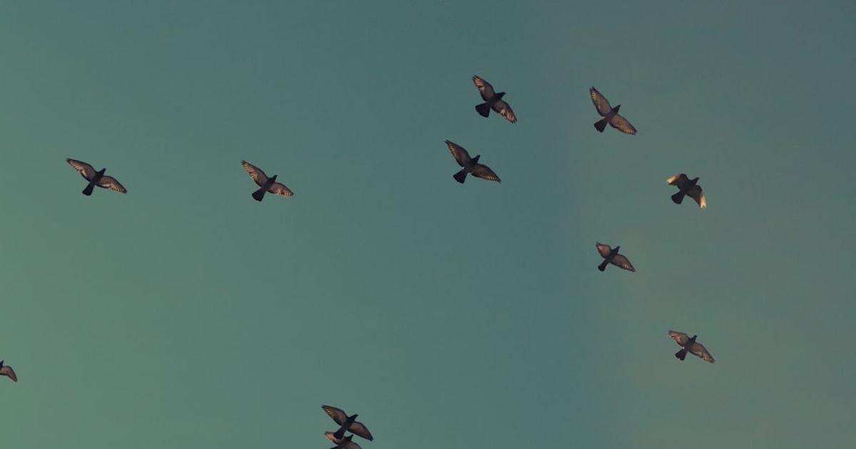 Iron Legion Drone Formation VFX Prompt