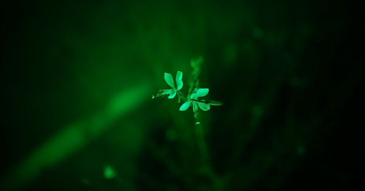 Laboratory Tube Filled with Glowing Slime VFX Prompt