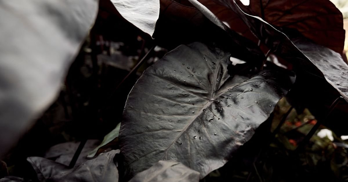 Mutating Human Covered in Shiny Goo VFX Prompt
