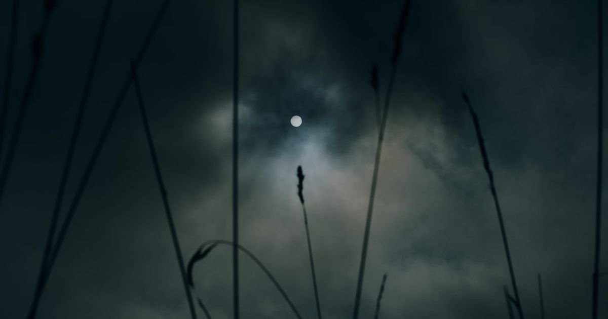 Mystical Wolf Guardian in Moonlight VFX Prompt