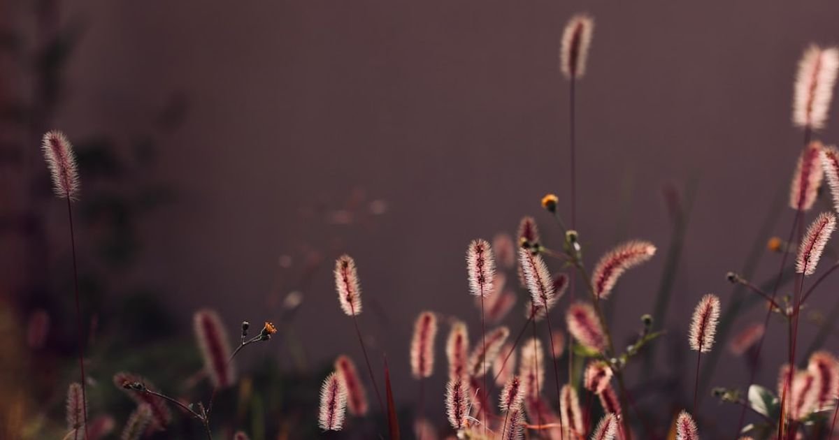 Neon Samurai Battle in Fog VEO 3 Prompt