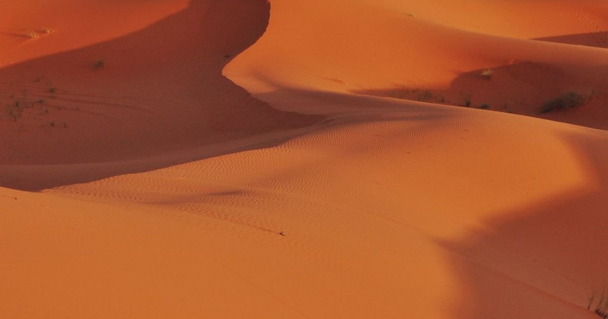 Prompt for Desert Survival Storytelling