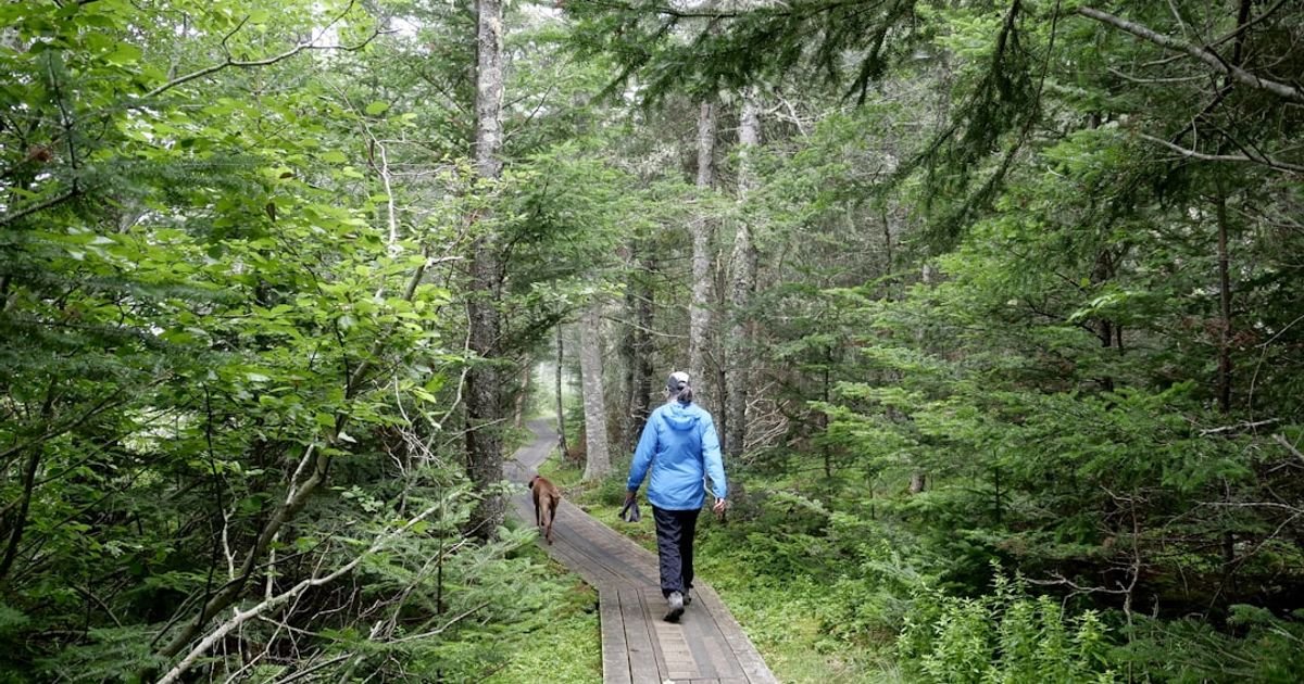 Prompt for Personalized Hiking Trail Guides
