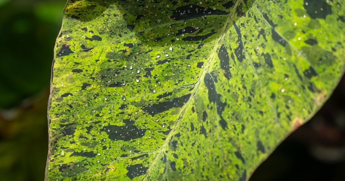 Slime Growing on Surfaces and Pulsing VFX Prompt