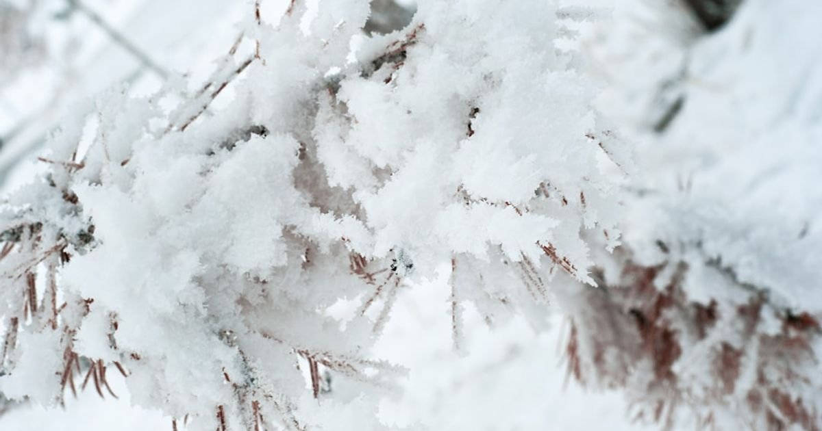 Snowfall and Blizzard VFX Prompt