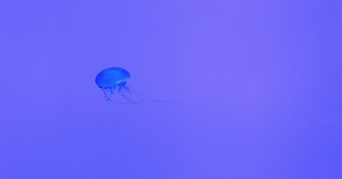 Soft Glow Orbs Floating in Air ASMR VFX Prompt
