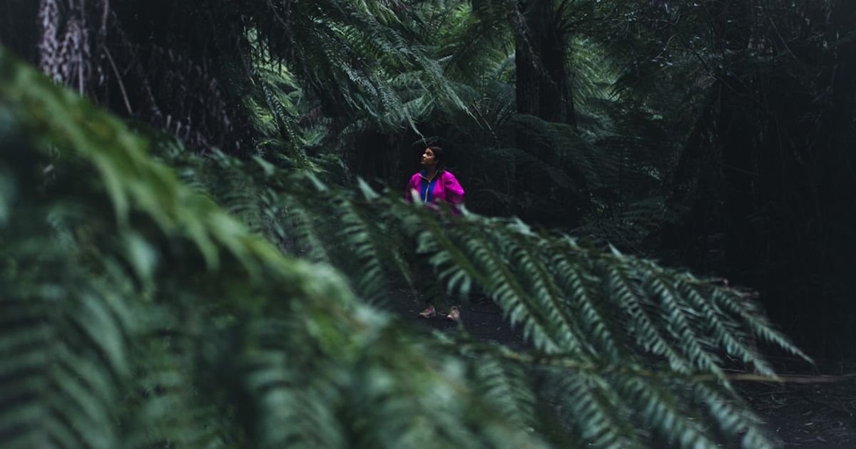 Sora Magical Forest Discovery Prompt for Adventure Films