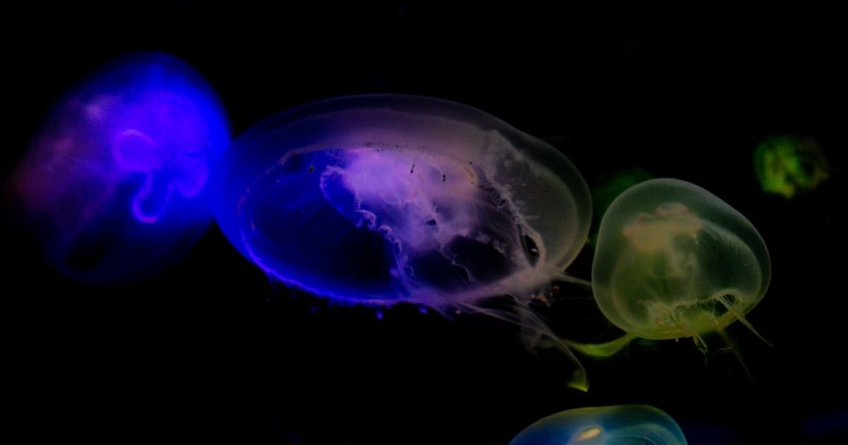 Space Slime Monster Escaping Pod VFX Prompt