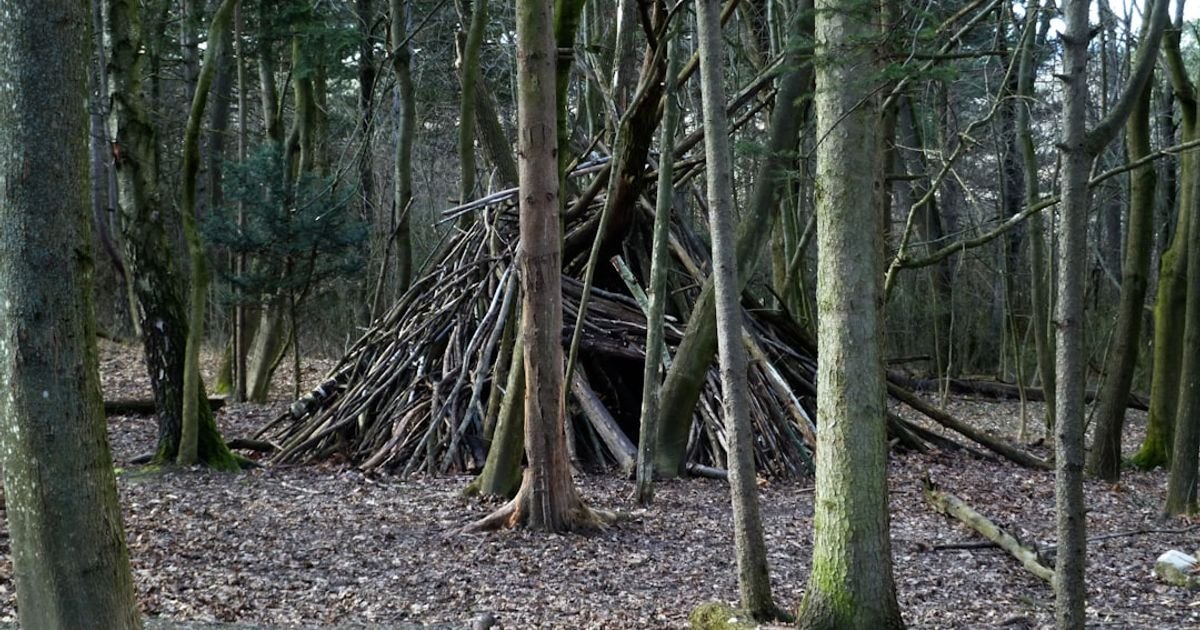 Tree Roots Expanding Underground VFX Prompt