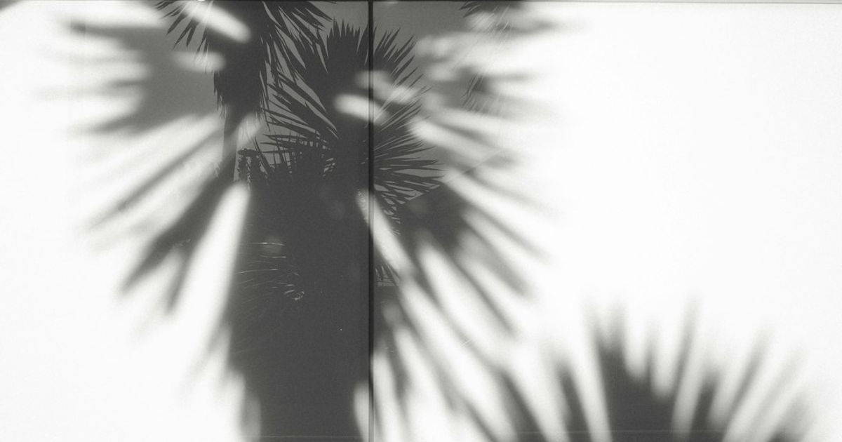 VEO 3 Prompt - Shadows Beneath the Neon Sky