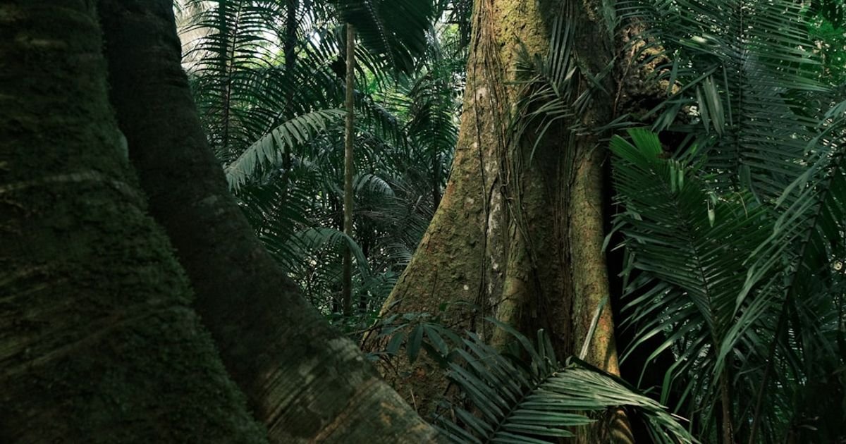 VEO 3 Prompt for Environmental Documentary - Echoes of Earth