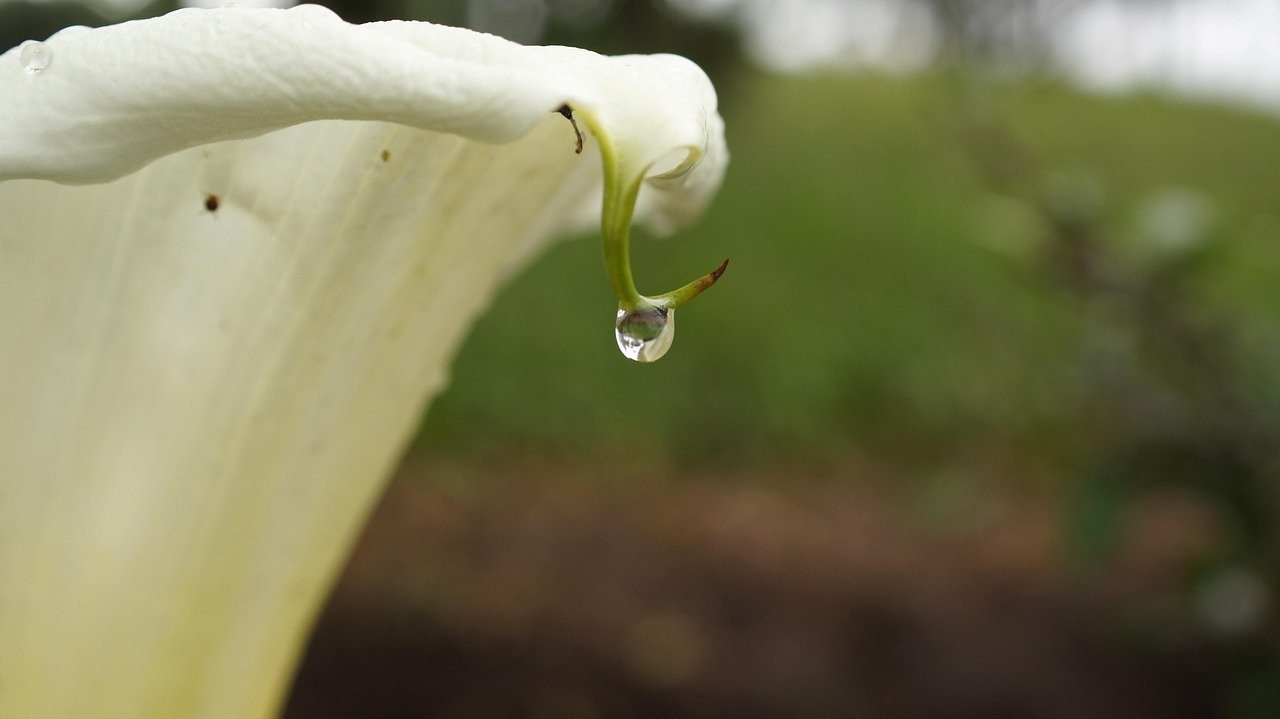 2026 Guide Viral YouTube Prompt Ideas