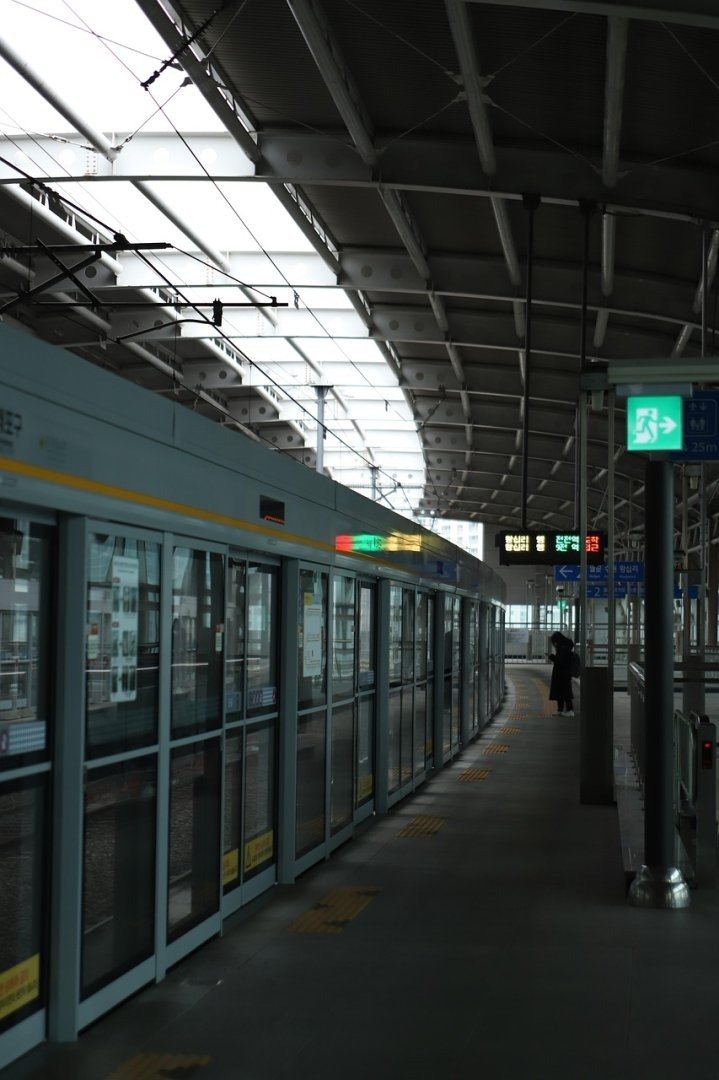 Animals doing cool activities video prompt