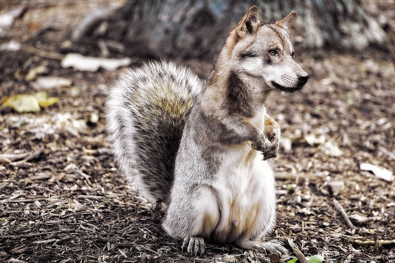 Ultra Realistic Fruits ASMR Video Prompt