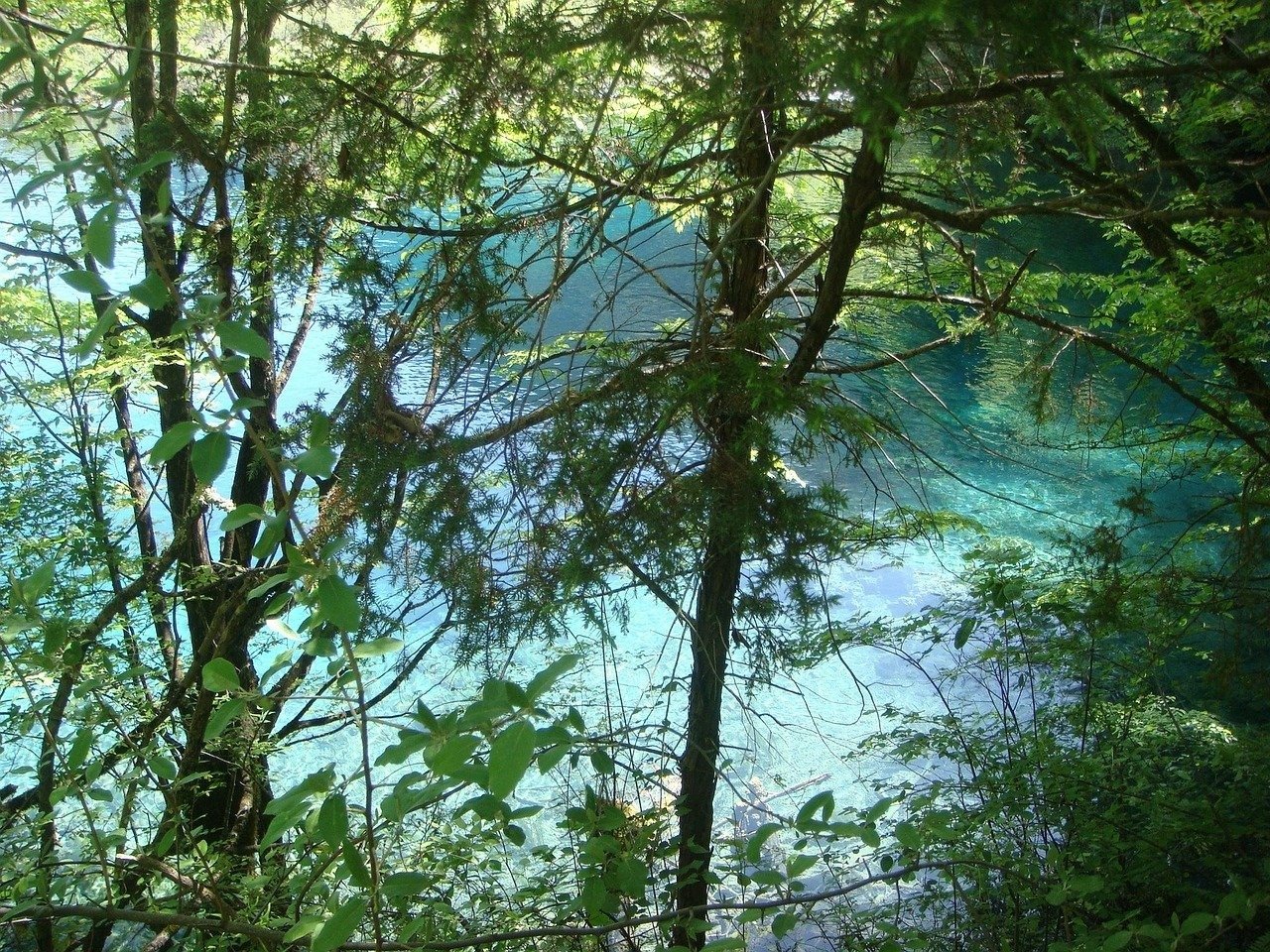 United Kingdom Content Prompt Ideas