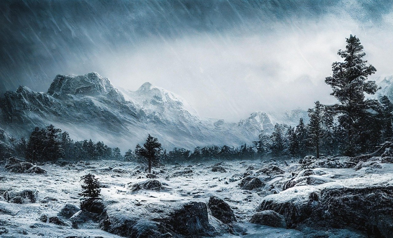 Dancing Cat Video Prompt Idea Generator