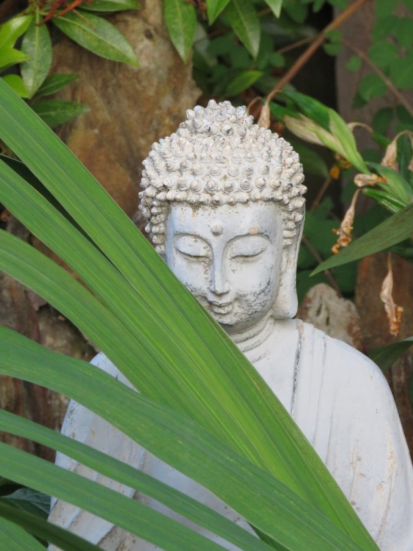 Transparent Architecture Interior Lives Prompt