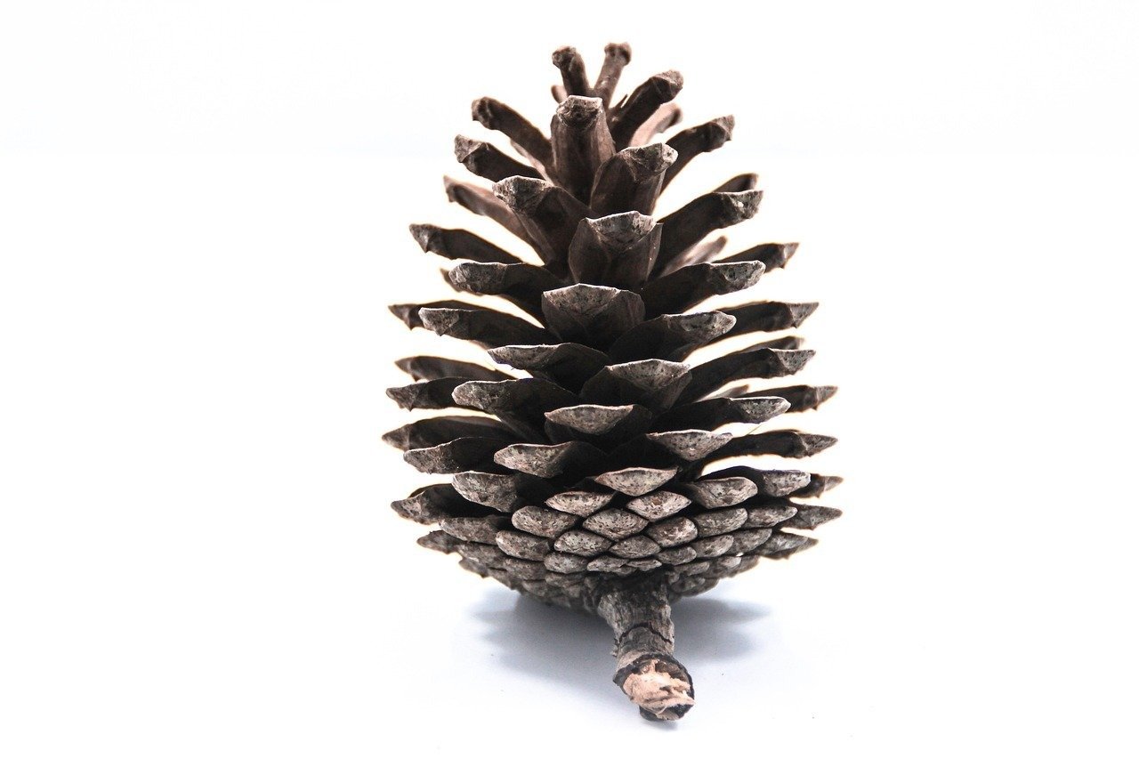 AI Fraud Detection Tool Generator