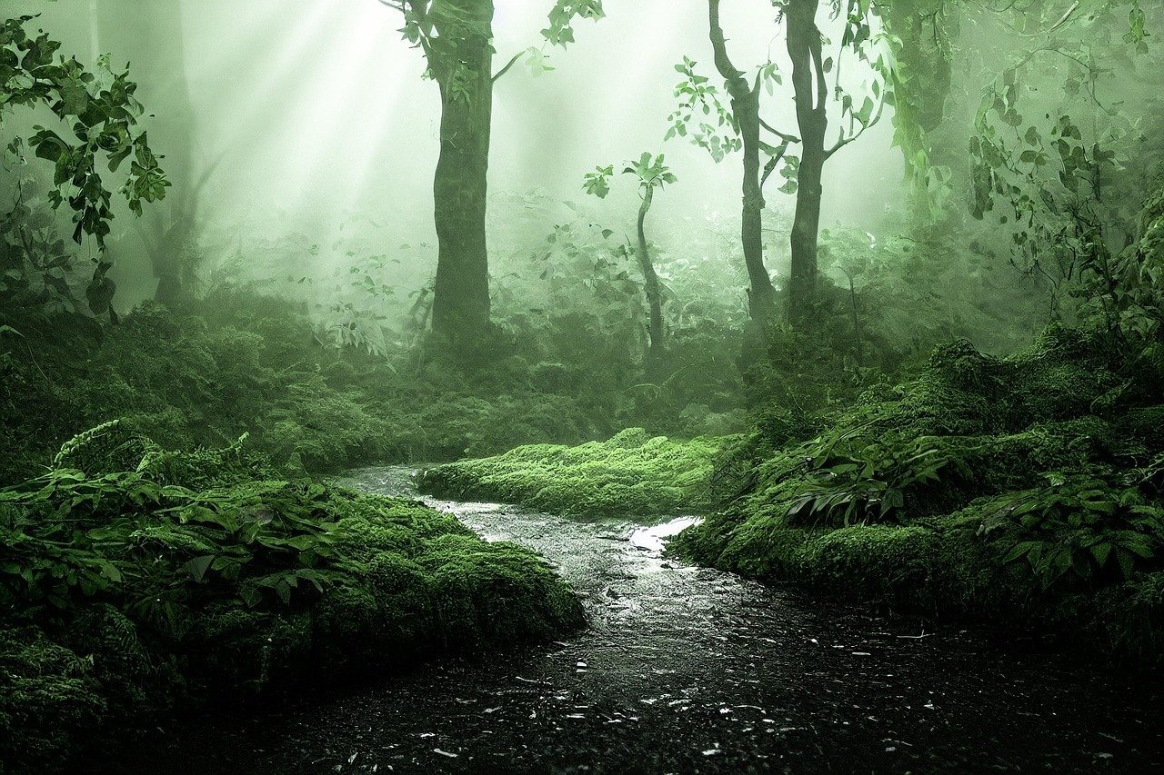 Synchronized Heartbeat Light Show Prompt