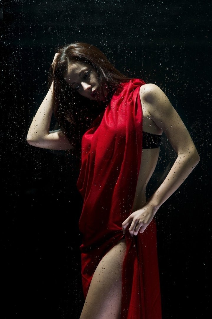 Nostalgic floral memory bloom prompt