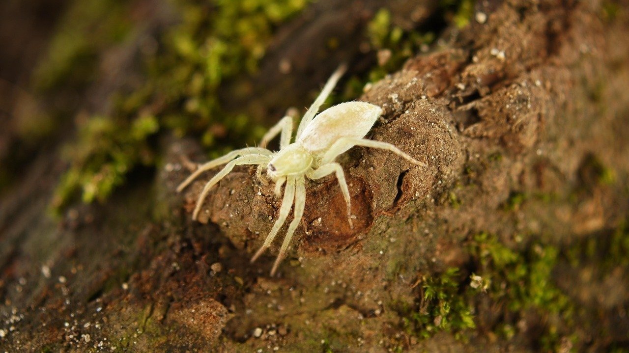 Analog Glitch Modern Scene Prompt