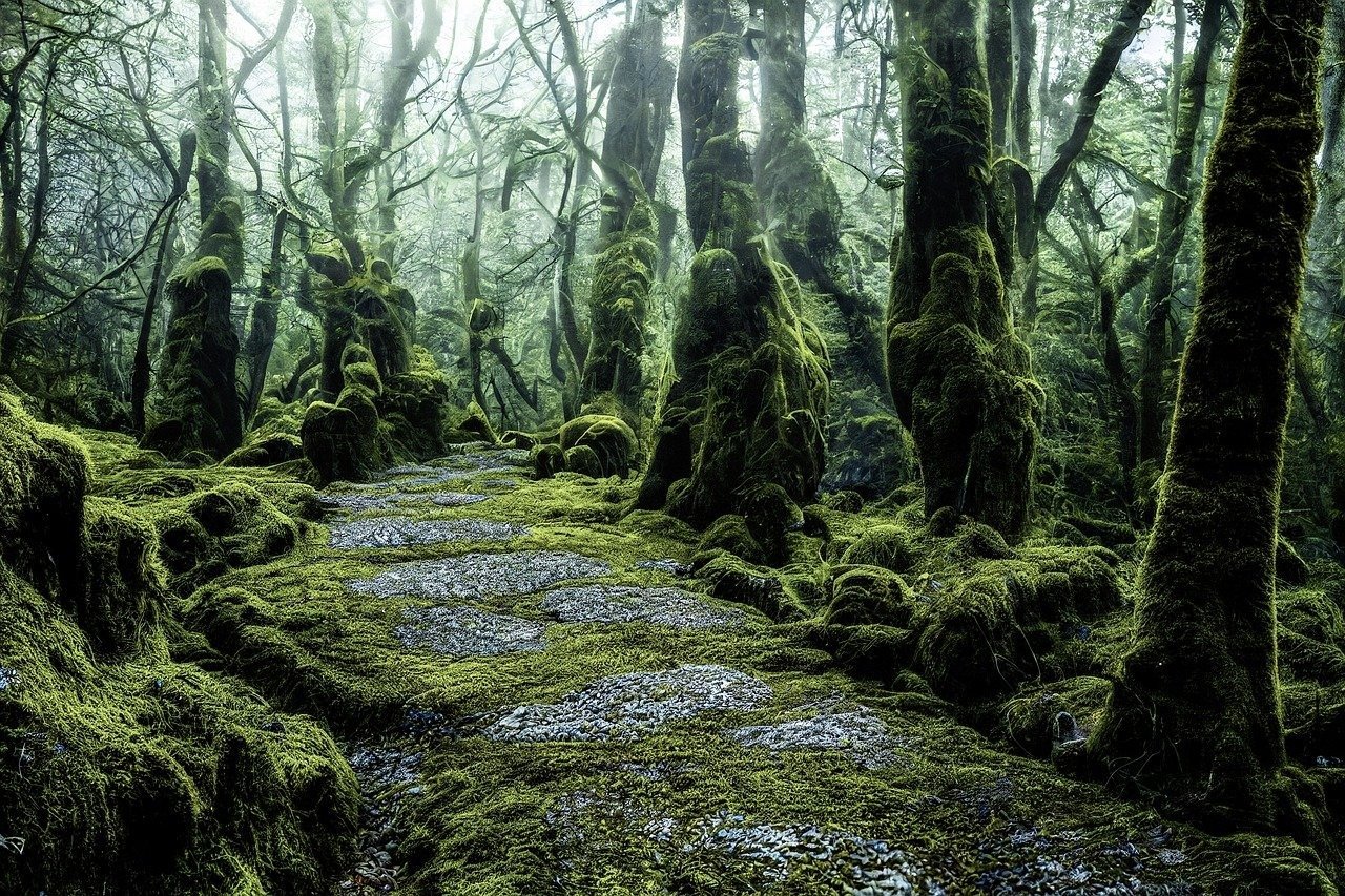 Bioluminescent flora interior illumination prompt