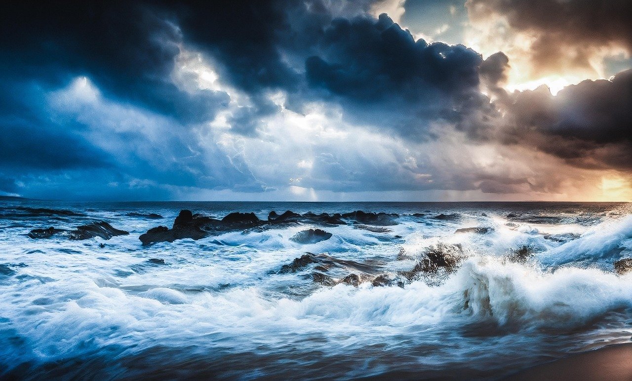 bioluminescent flora digital art prompt