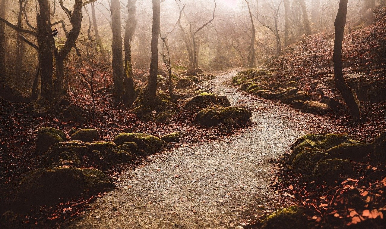 Grandiose historical battle scene prompt