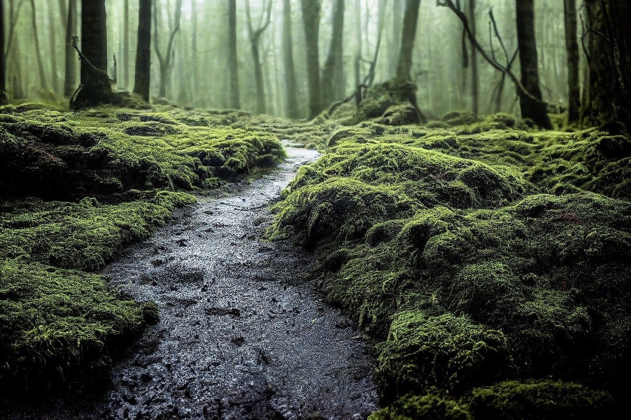 Whimsical Holi Child's Dreamscape Prompt